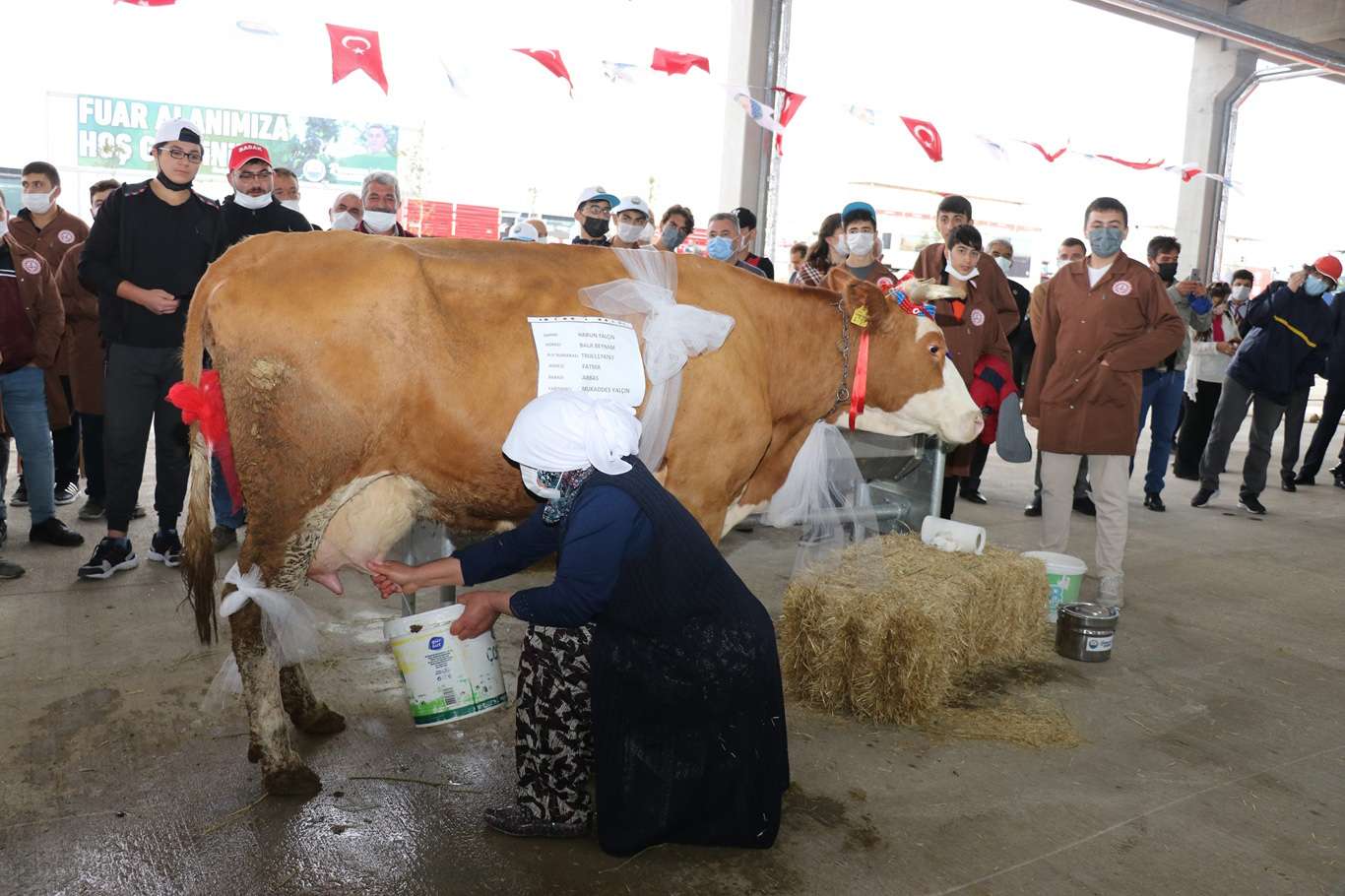 Uluslararası AGROTEC Tarım Fuarı'nda inek sağma yarışması düzenlendi Uluslararası AGROTEC Tarım Fuarı'nda inek sağma yarışması düzenlendi